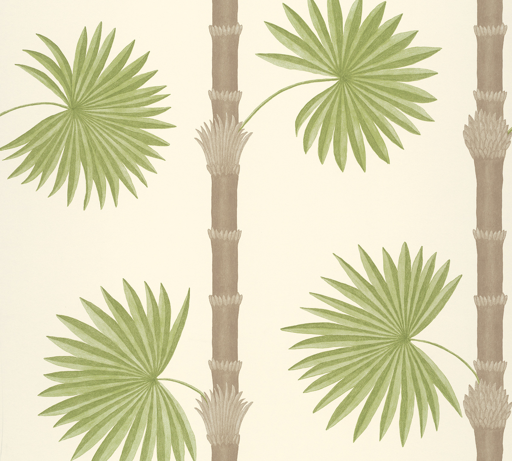 Обои Paint & Paper Library Botany Hardy Palm Sand III 0360HASANDZ